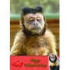 Monkey Animal Valentines Day Card