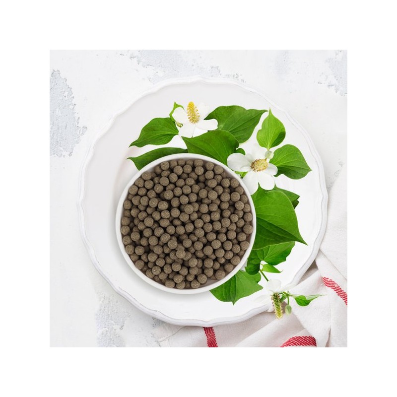온담고 국산 어성초환 200g Ondamgo Korean Woodsplitter Herbal Powder 200g