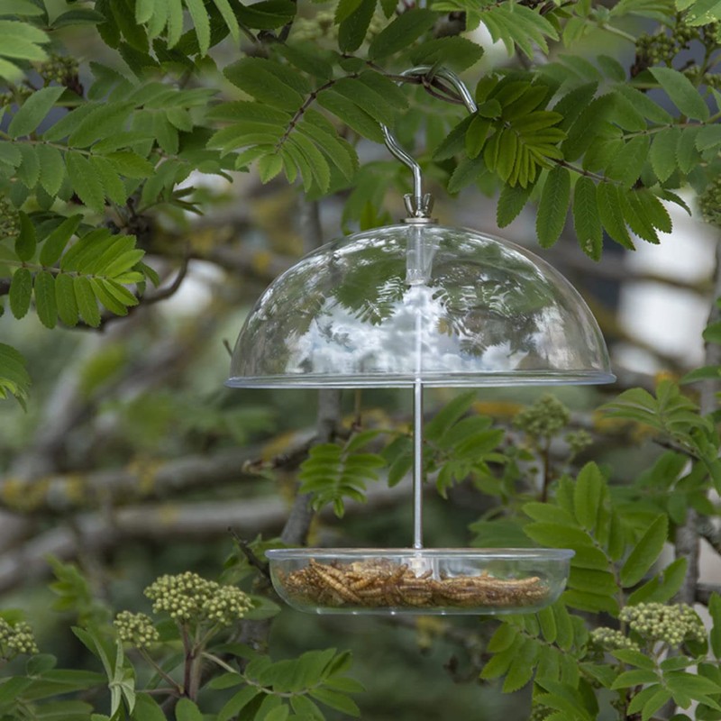 Esschert Design Robin Bird Feeder, Acrylic