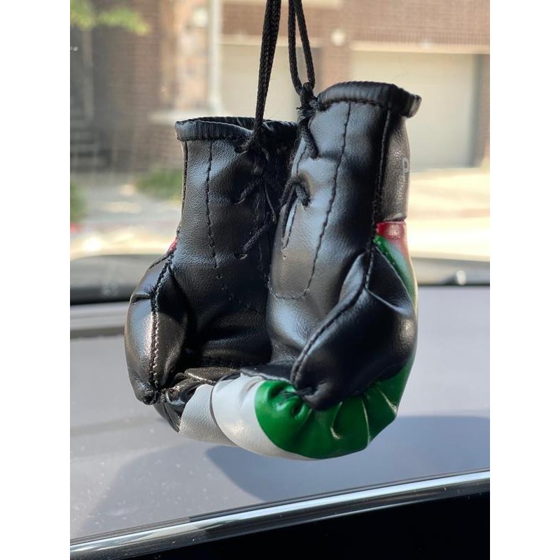 Country Flag Mini Boxing Gloves For Hanging - Country: Ireland
