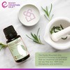 Rocky Mountain Oils Rosemary Essential Oil - 100% Pure and