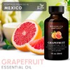 Brooklyn Botany Grapefruit Essential Oil - 100% Pure and Natural