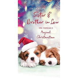Piccadilly Greetings Piccadilly Greetings Cute (Photo) Christmas Card Sister & Brother in Law,purple|red|pink|beige,9 x 5 inches