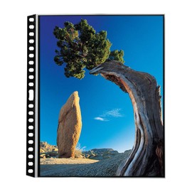 ProFolio by Itoya, Art ProFolio PolyGlass, 10-Pack Multi-Ring Binder Refill Pages - Portrait, 18 x 24 Inches