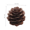 VICASKY 100pcs Christmas Natural Pine Cones - Thanksgiving Mini Pinecones