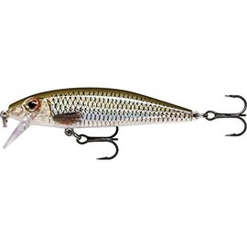 Rapala Unisex-Adult X-Rap Countdown Locken, Live Roach, 7 cm / 10g