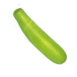 Gourd Seeds, Bottle - Calabash Long - 4 g Packet ~100 Seeds - Non-GMO, Heirloom - Vegetable Garden