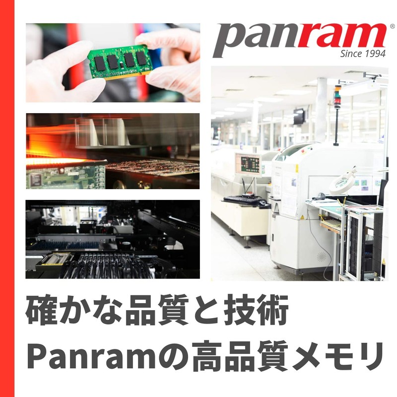 CFD PC3-12800 (DDR3-1600) Panram Laptop Memory