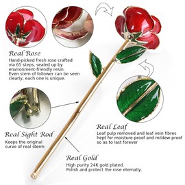 Sinvitron Gold Dipped Infinity Rose Forever Flower Decor, Resin Preserved Real Rose Birthday Gift for Women, Anniversary Present for Mom (Red)