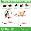 Dog Agility Course Backyard Set, Dog Agility Equipment, Pet obstacle
