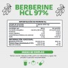 Berberina Hcl 97% | 500mg De Berberina Clorhidrato, Potenciado Con