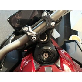 labelbike - Fork Plate Protector + Key CB 650 R Compatible with Motorcycle Honda CB650R