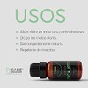 Aceite Esencial de Eucalipto (Eucalyptus Globulus) - 100% PURO PREMIUM