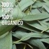 Aceite Esencial De Eucalipto 100% Puro Y Orgánico 15ml
