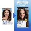 Clairol Nice'n Easy Permanent Hair Dye, 5C Medium Cool Brown