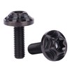 UHDFBDHF 4Pcs Titanium M5x10 15 20mm Torx Head Bolt T30