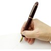 Gullor Fine Nib Fountain Pen X159, Acrylic Big Size Writing