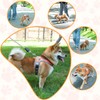 Dog Harness and Leash Set, No Pull Saddle Style pet