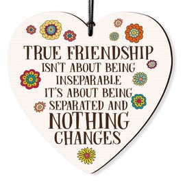 Dorothy Spring True Friendship Quote Hanging Wooden Heart Wall Sign Love Plaque Gift for Friends Inspirational Keepsake
