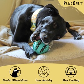 PawsOnly | Dog Treat Ball Dispenser | Interactive Toy for Boredom | Enrichment & Mental Stimulation | Safe Rubber Feeder | Puppy Challenging Activity (Small 6cm/2.35in, BLUE, 1 Pack)