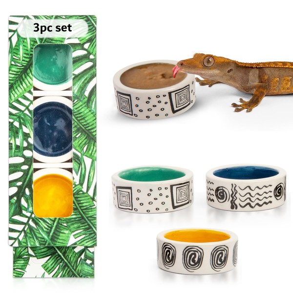 3 Pcs Micro Colorful Bowl, Trantuala Watering Cups, Tiny Bowl