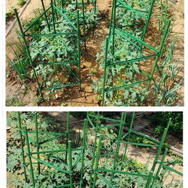 5ft 5-Pack Tomato Cage Support Green Garden Plant Sticks/Stakes for Climbing Plants, Vegetables, Fruit, Flowers