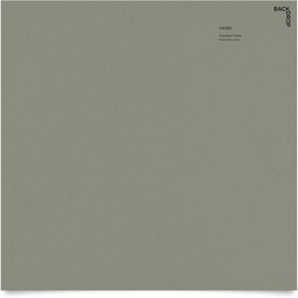 BACKDROP | Premium Interior Paint | Large Adhesive Paint Swatch | SAGED - Muted Olive Green | 12" x 12" Color Sample
