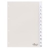 Durable 6810-19 Organiser Plastic A4 Jan - Dec/1-12 Hard Film