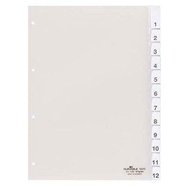 Durable 6810-19 Organiser Plastic A4 Jan - Dec/1-12 Hard Film Colourless [GERMAN IMPORT]
