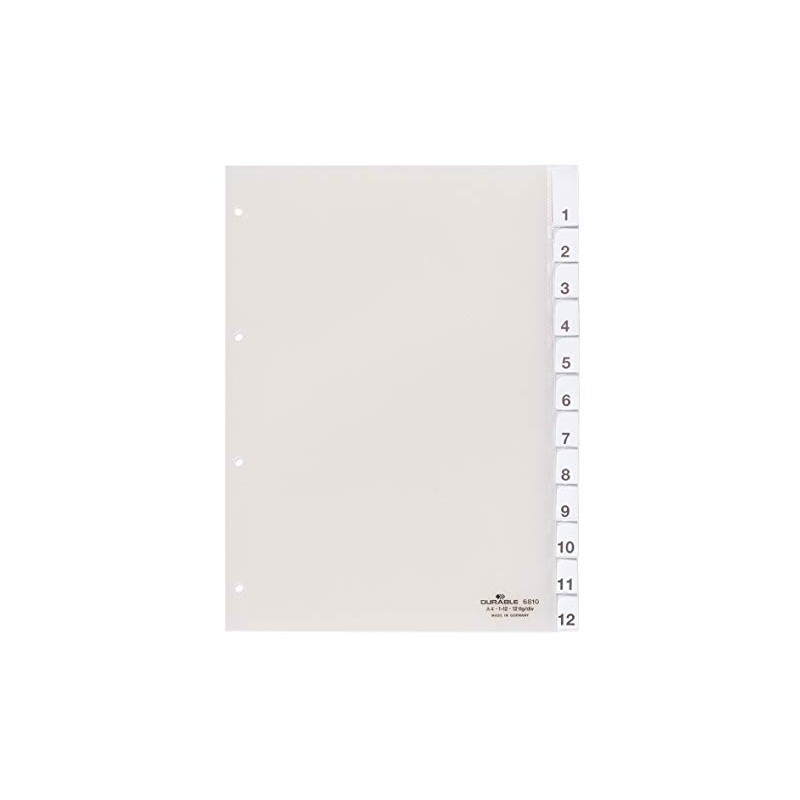 Durable 6810-19 Organiser Plastic A4 Jan - Dec/1-12 Hard Film