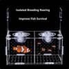 Aquarium Spawning Box, Acrylic Fish Breeding Box, Breeding Box, Aquarium
