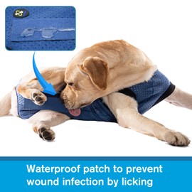 COODEO Dog Surgery Recovery Suit, Waterproof Recovery Suit for Dogs, Surgery Suit for Wounds Protect, Cone Alternative After Surgery, Dog Onesie for Surgery Female or Male (Blue, 3XL)