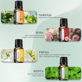 RENDIN Aceites Esenciales de Aromaterapia 8PCS - Aceites Esenciales para Difusor, Hacer Velas Aromaticas y Jabón(Árbol de Té, Rosa, Lirio, Naranja, Fresia, Océano, Menta, 8 x10ml)