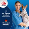 8in1 - Vitality - Glucosamin für ausgewachsene und ältere Hunde