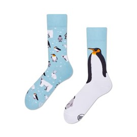 Many Mornings - Frosty Friends - Penguins, Polar Bear (35-38), blue