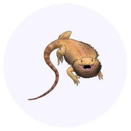 24 x 40mm Round 'Grumpy Bearded Dragon' Stickers (SK00058550)