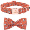 Lionheart glory Dog Bow Collar Shark Print Bow Dog Collar