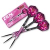 Shot Steel Darts Zen Juji Match Dart 80% Tungsten Steeltip