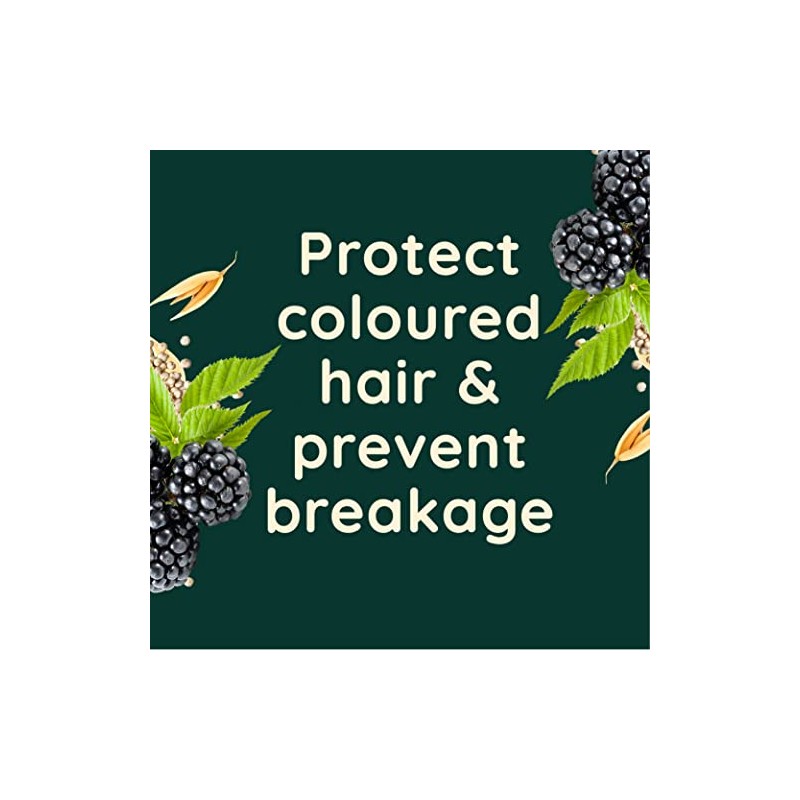 Aveeno Aveeno Colour Protect Blackberry and Quinoa Scalp Soothing Shampoo