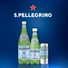 S.Pellegrino Sparkling Natural Mineral Water, Plastic Bottles, 16.9 Fl Oz