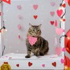 ADOGGYGO Pink Valentine's Day Cat Collar with Bowtie Bandana, Valentine