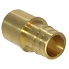 1 Pc. 1'' Pex-A x 1'' Female Sweat Adapter,Brass(1-1F19FSWET)