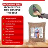 Morning Bird Pigeon Grit - Healthy & Nutritious Bird Food