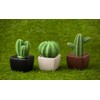 Lively Breeze Tri Cactus, Non-Electric Ceramic Diffusers for Essential Oils