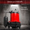 Red Lion RL-50SC 1/2 HP, 115-Volt, 4000 GPH, Cast Iron