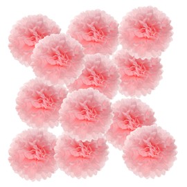 PATIKIL 14inch Tissue Paper Pom Poms, 12PCS Pom Poms Paper Flowers Ball Tissue Paper Flowers for Wedding Bridal Shower Birthday Bachelorette Party Backdrop Decoration, Light Pink