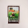 Shamrock Gift Company Guinness Ireland Toucan Magnet