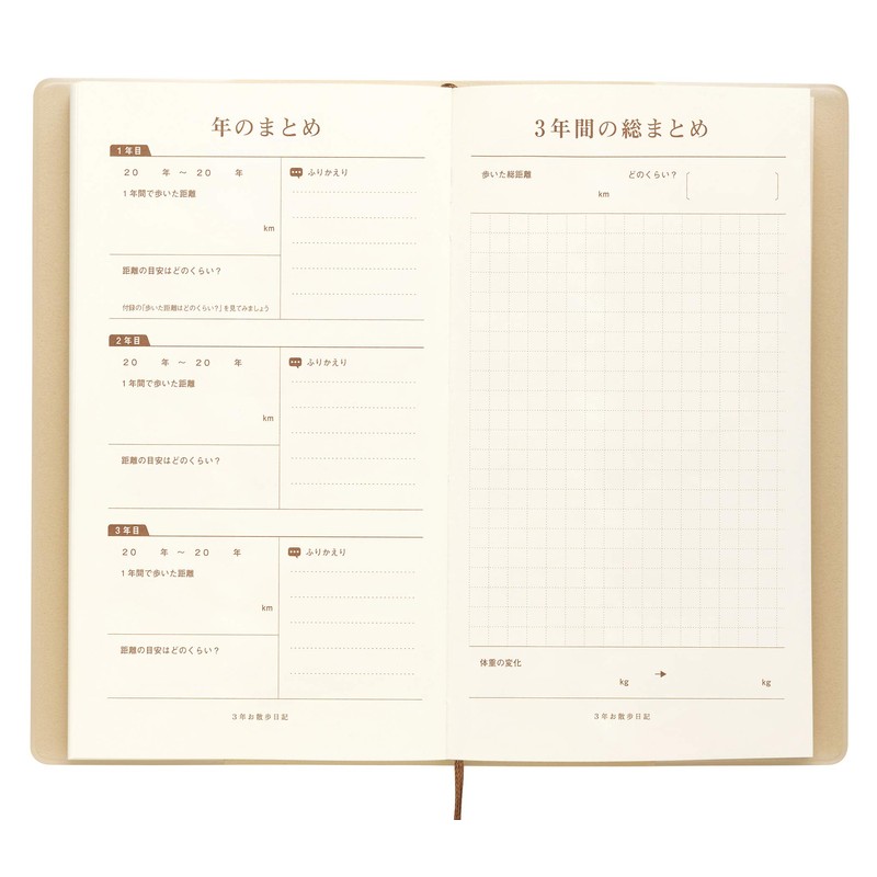 3 year walking diary