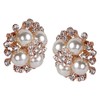 ASHI'S Collection rounded stud ear-ring with exquisite crystal and pearl.