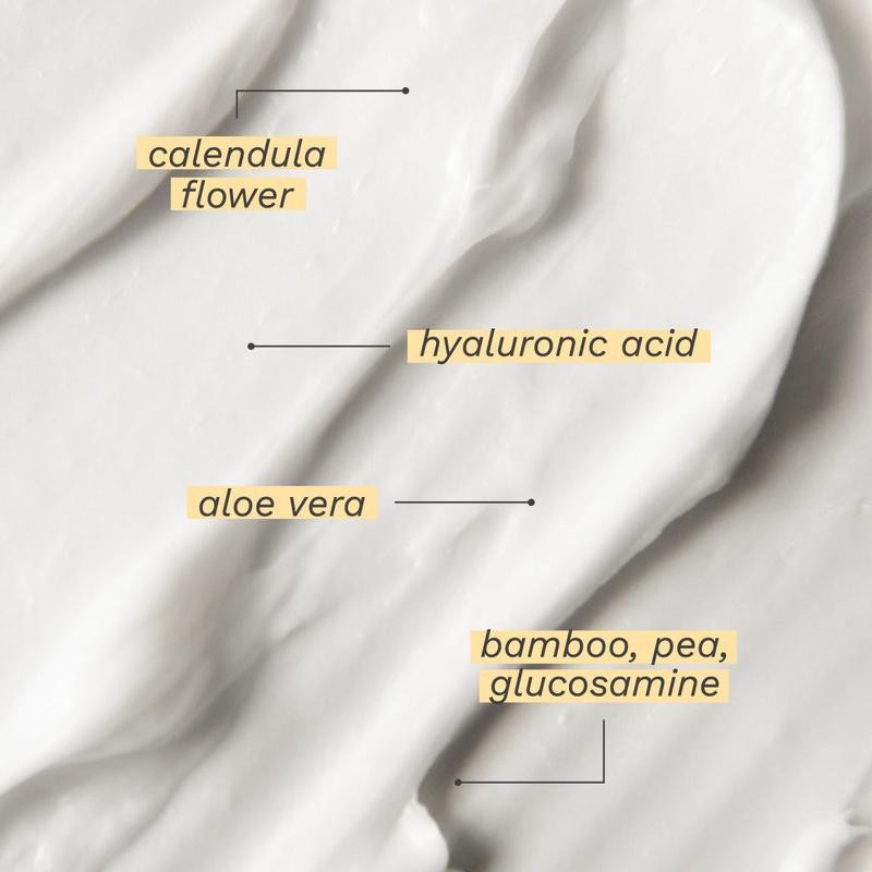 Rejuvaskin Rejûvaskin Skin Recovery Cream - Bundle: Single